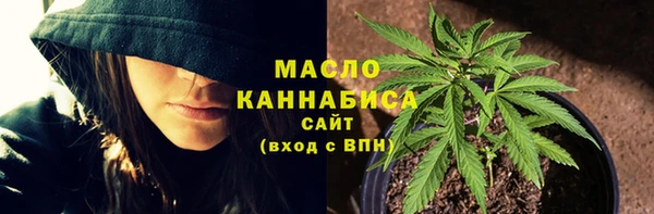 хмурый Каменногорск
