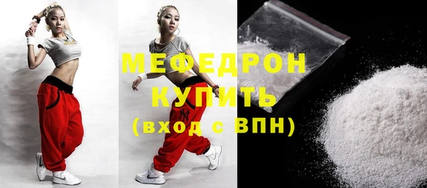 стаф Каменка