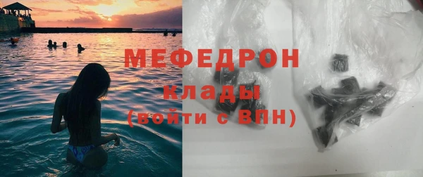 стаф Каменка