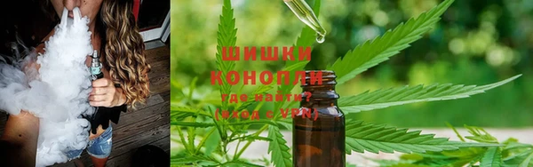хмурый Каменногорск