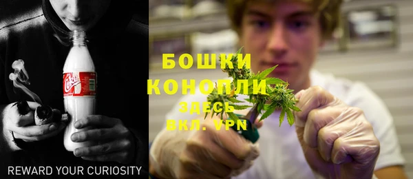стаф Каменка