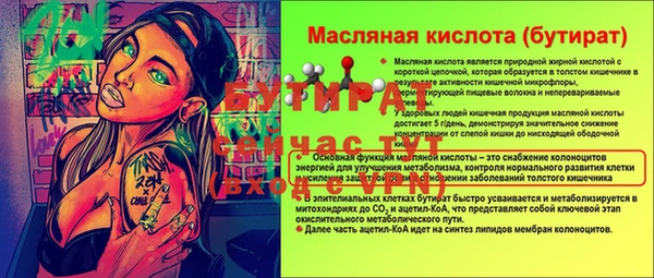 стаф Каменка