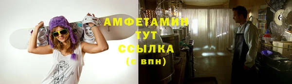 стаф Каменка