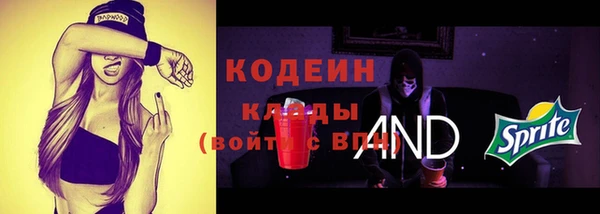 хмурый Каменногорск