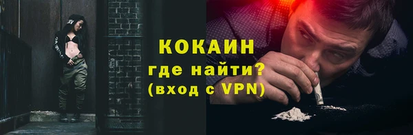 стаф Каменка