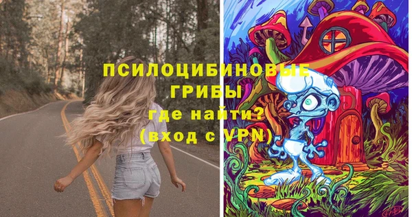 хмурый Каменногорск