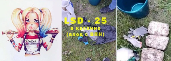 хмурый Каменногорск