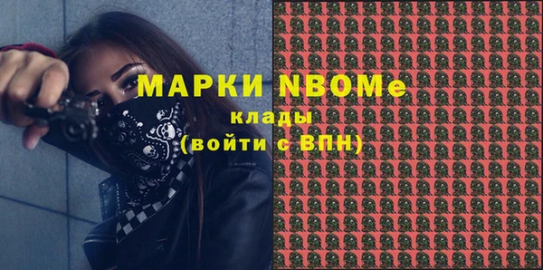 стаф Каменка