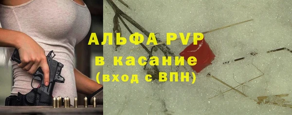 стаф Каменка