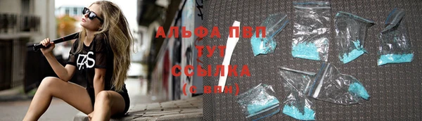 хмурый Каменногорск