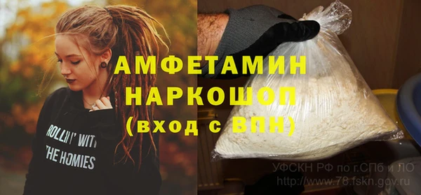 стаф Каменка