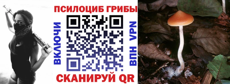 Псилоцибиновые грибы прущие грибы  Купить закладки  Стрежевой 
